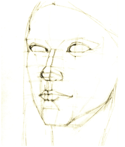 idealized facial proportions